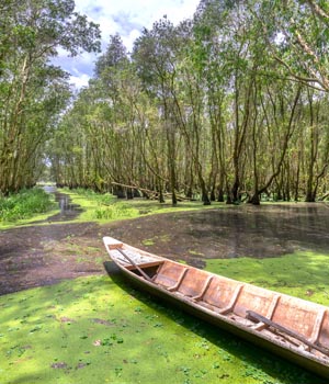 can gio biosphere reserve